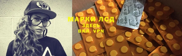 ПСИЛОЦИБИНОВЫЕ ГРИБЫ Верхний Тагил