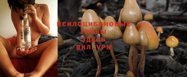 ПСИЛОЦИБИНОВЫЕ ГРИБЫ Верхний Тагил