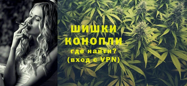 ПСИЛОЦИБИНОВЫЕ ГРИБЫ Верхний Тагил