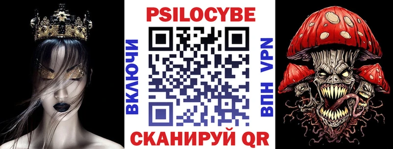 Купить где Ряжск Псилоцибиновые грибы Psilocybine cubensis