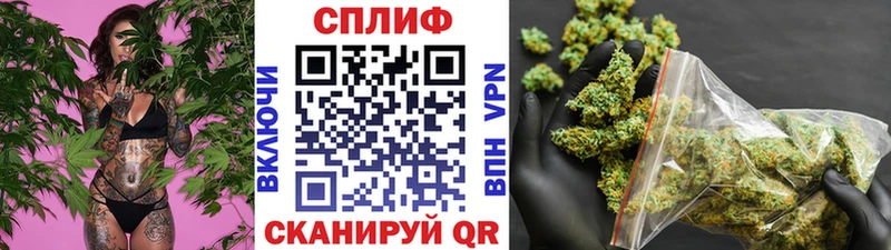 Купить закладки Ряжск Конопля ГИДРОПОН